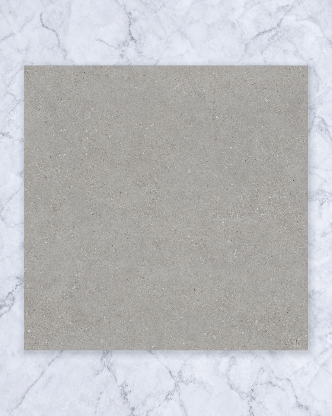 Elsanto Dark Grey In/Out 600x600mm