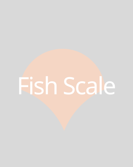  Fish Scale Tiles