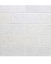 Dento Brick White 91x242mm