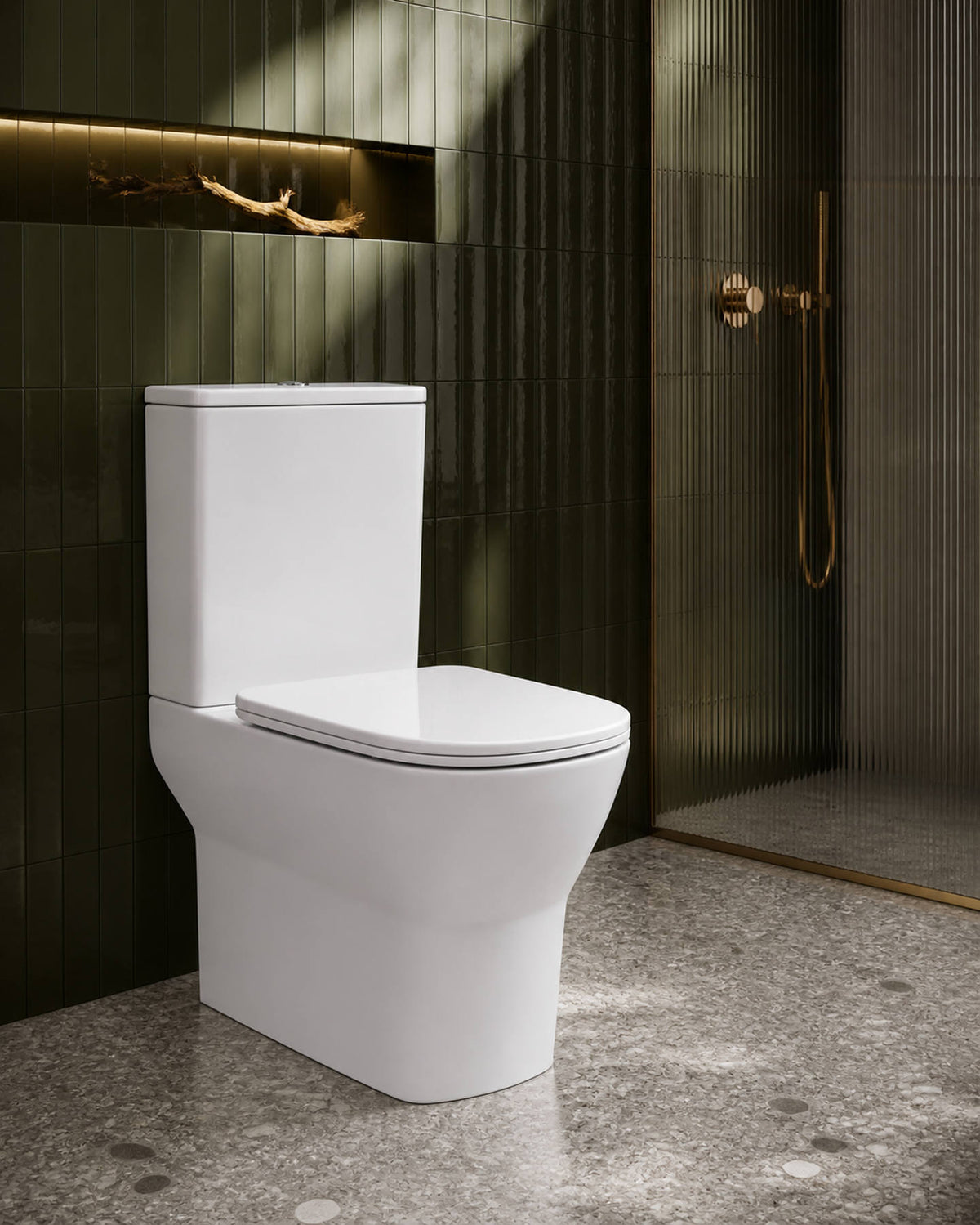 Evora Toilet