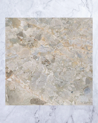 Elementa Verde Terra Porcelain Tile 604x604mm