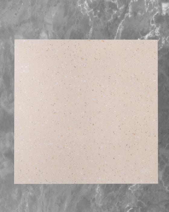 Pols Sand Spanish Terrazzo Look Tile 600x600mm Main