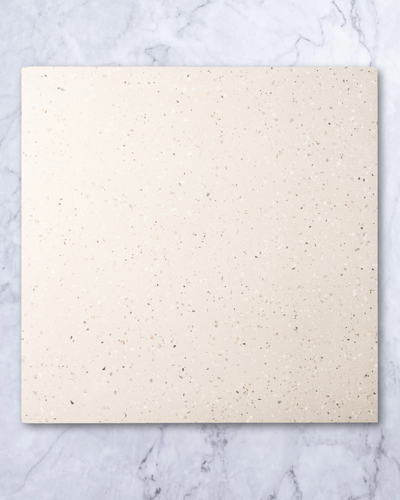 Pols Sand Spanish Terrazzo Look Tile 600x600mm