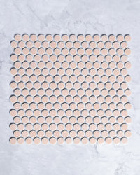 Vogue Soft Pink Glossy Penny Round Mosaic