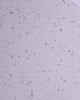 Pols White Spanish Terrazzo Look Tile 600x600mm Video